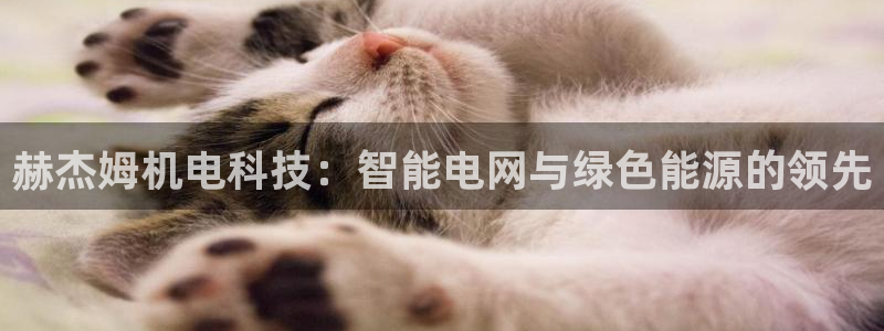 赫杰姆机电科技：智能电网与绿色能源的领先