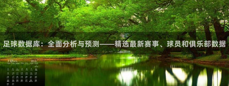 足球数据库：全面分析与预测——精选最新赛事、球员和俱乐部数据
