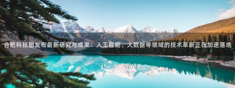 合肥科技圈发布最新研究与成果：人工智能、大数据等领域的技术革新正在加速落地