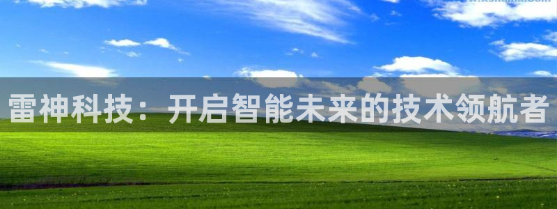 雷神科技：开启智能未来的技术领航者