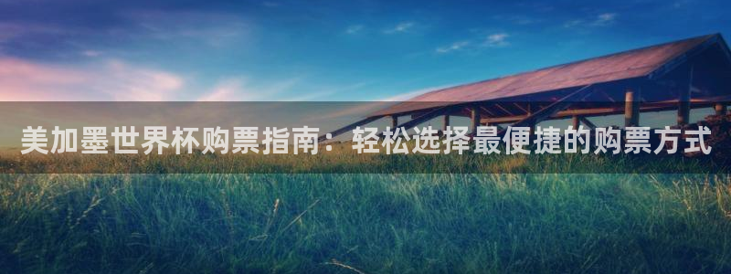 美加墨世界杯购票指南：轻松选择最便捷的购票方式