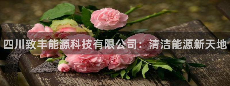 四川致丰能源科技有限公司：清洁能源新天地